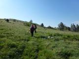08. Nepregledne livade